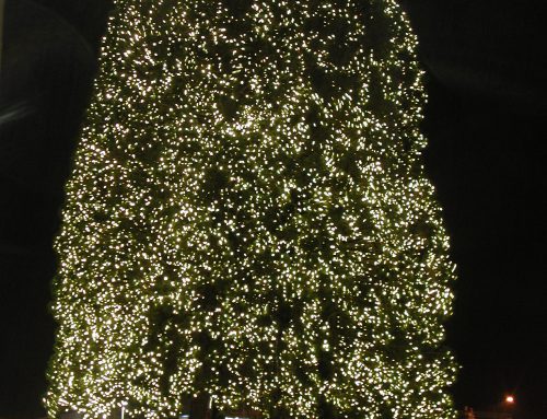 Keizer Station Tree Lighting